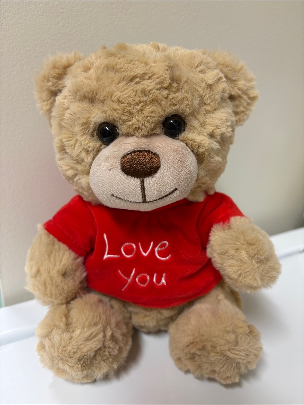 Beverly Hills Teddy Bear Co. "Love You" Valentines Plush 2025